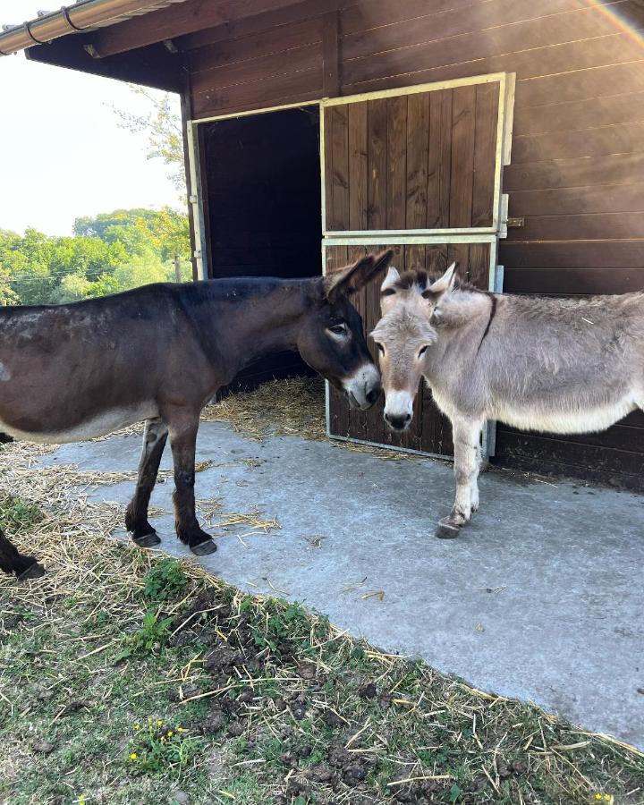La Ferme Saint Pierre De Glabais Villa Genappe Dış mekan fotoğraf